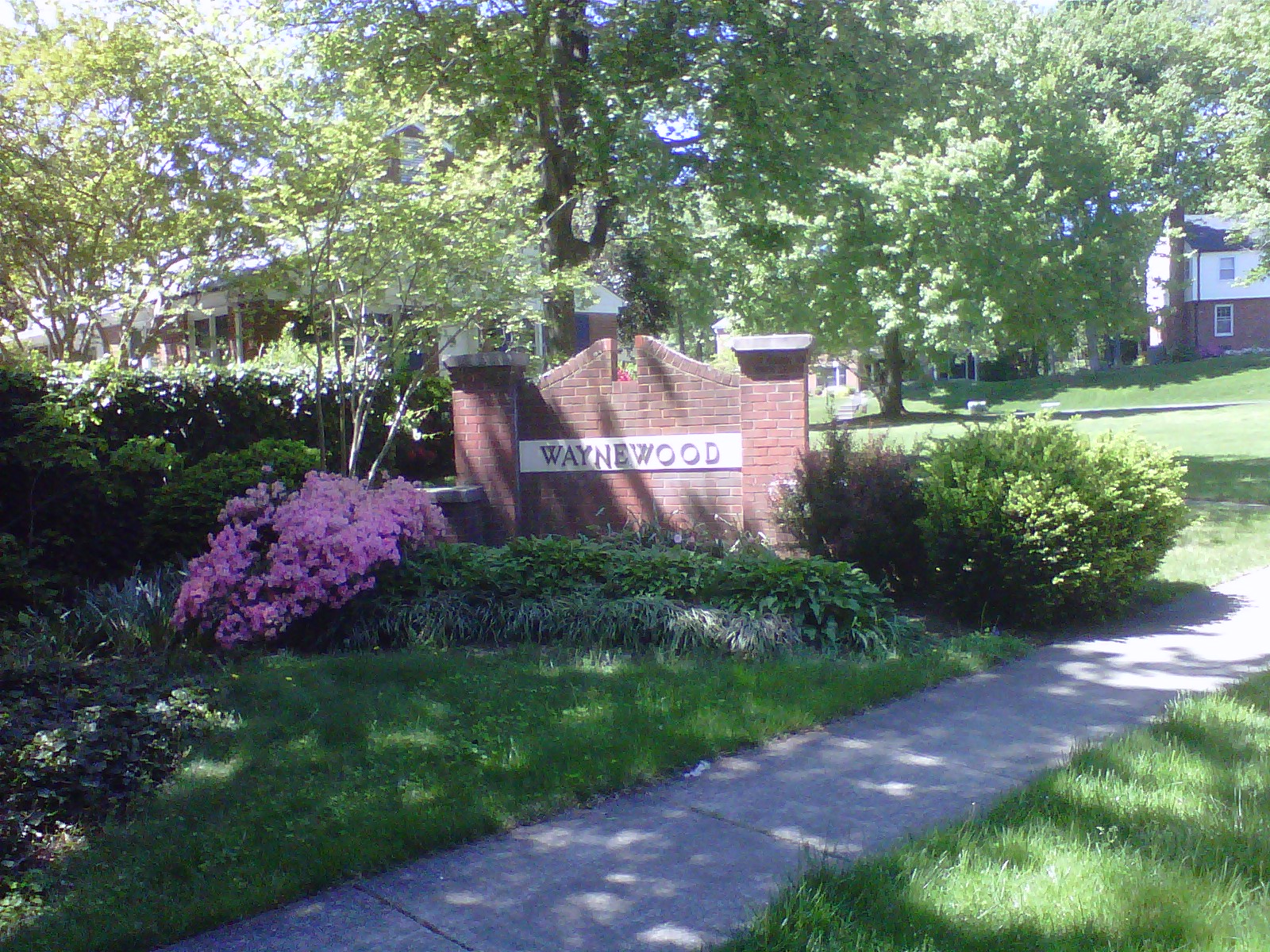 Waynewood Spacious Homes off GW Parkway